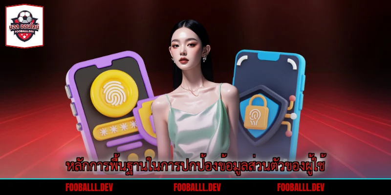 หลักการพื้นฐานในการปกป้องข้อมูลส่วนตัวของผู้ใช้